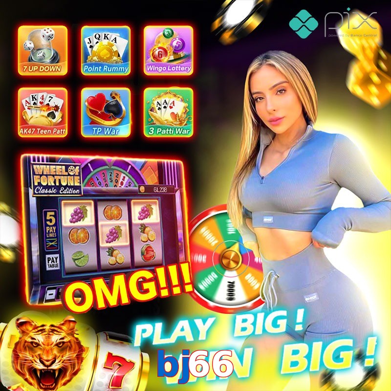 bj66