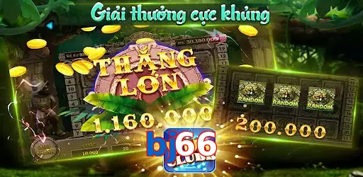 bj66